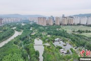 事业古义西宁市举办六五环境日主题宣传活动
